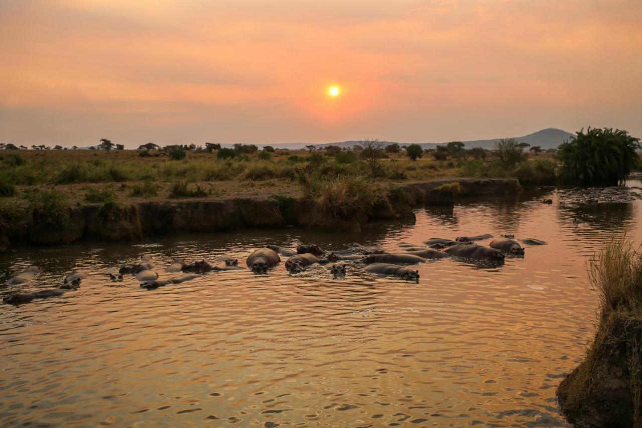 Osero Serengeti Luxury Tented Camp Banagi Екстериор снимка