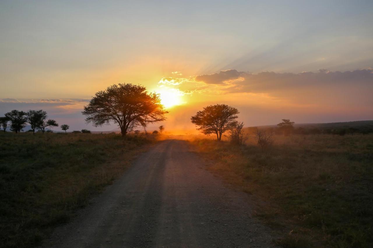 Osero Serengeti Luxury Tented Camp Banagi Екстериор снимка